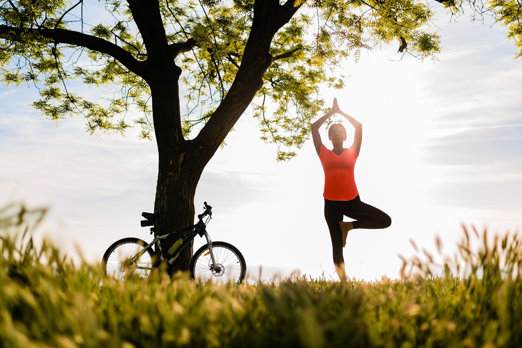 Bienestar y equilibrio
